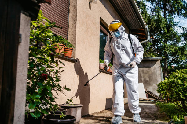 Best Emergency Pest Control  in Brent, AL