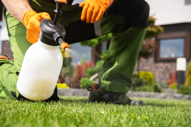 Best Pest Control Near Me in Brent, AL