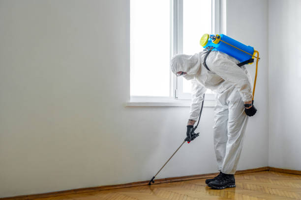 Best Local Pest Control Services  in Brent, AL