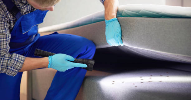 Best Commercial Pest Control Services  in Brent, AL