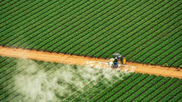 Best Pest Prevention Services  in Brent, AL