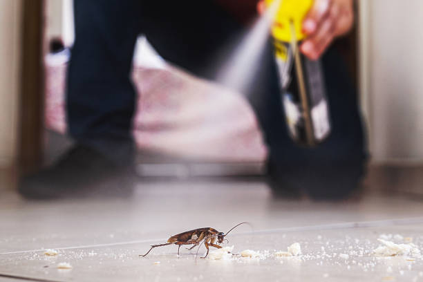 Best Emergency Pest Control  in Brent, AL